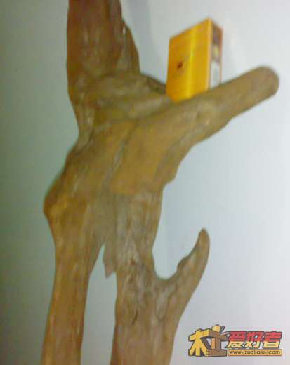 20120503248.jpg