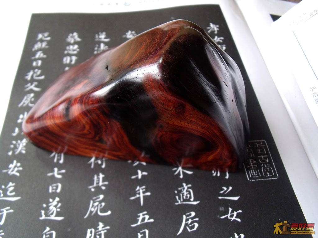 DSCF1263.JPG