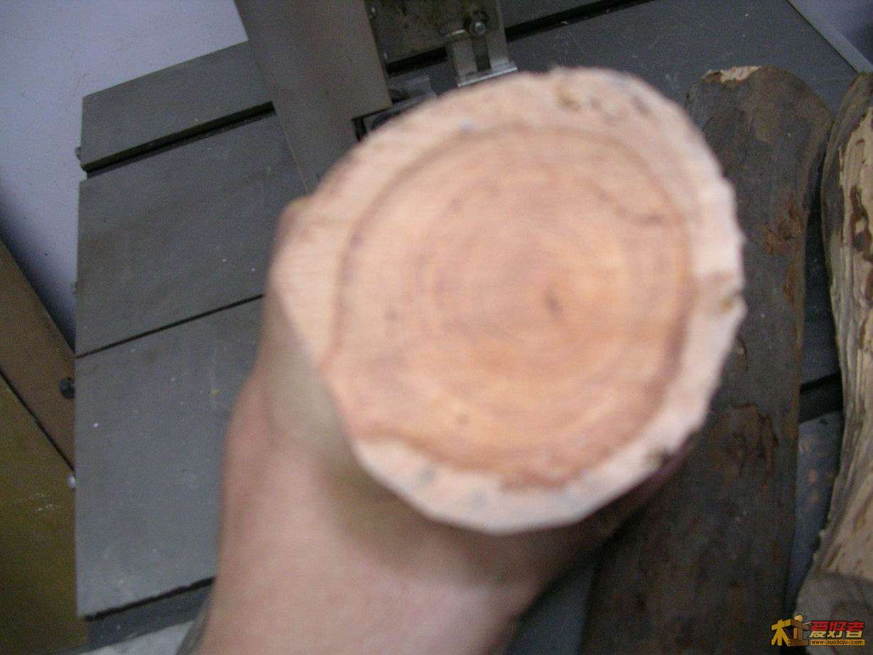 DSCN9985.JPG