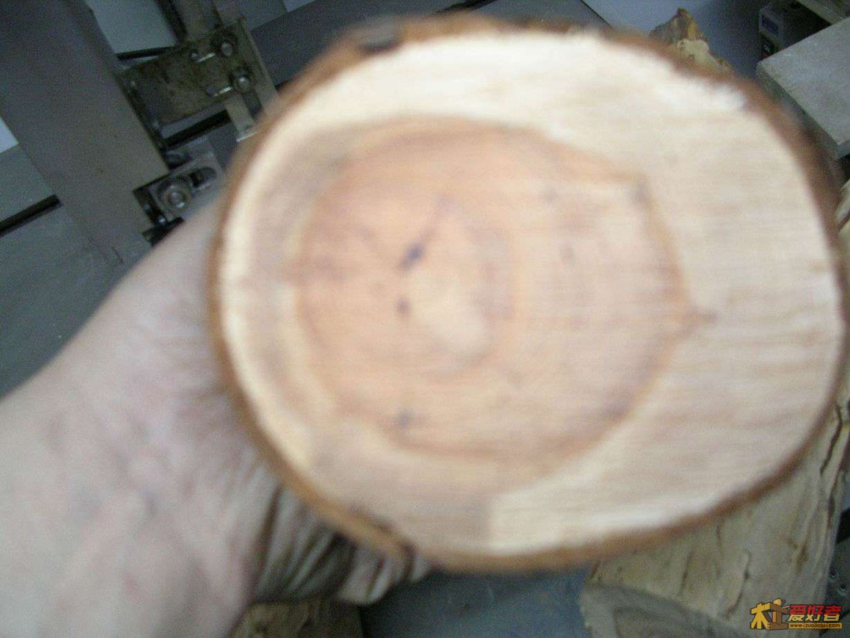 DSCN9986.JPG