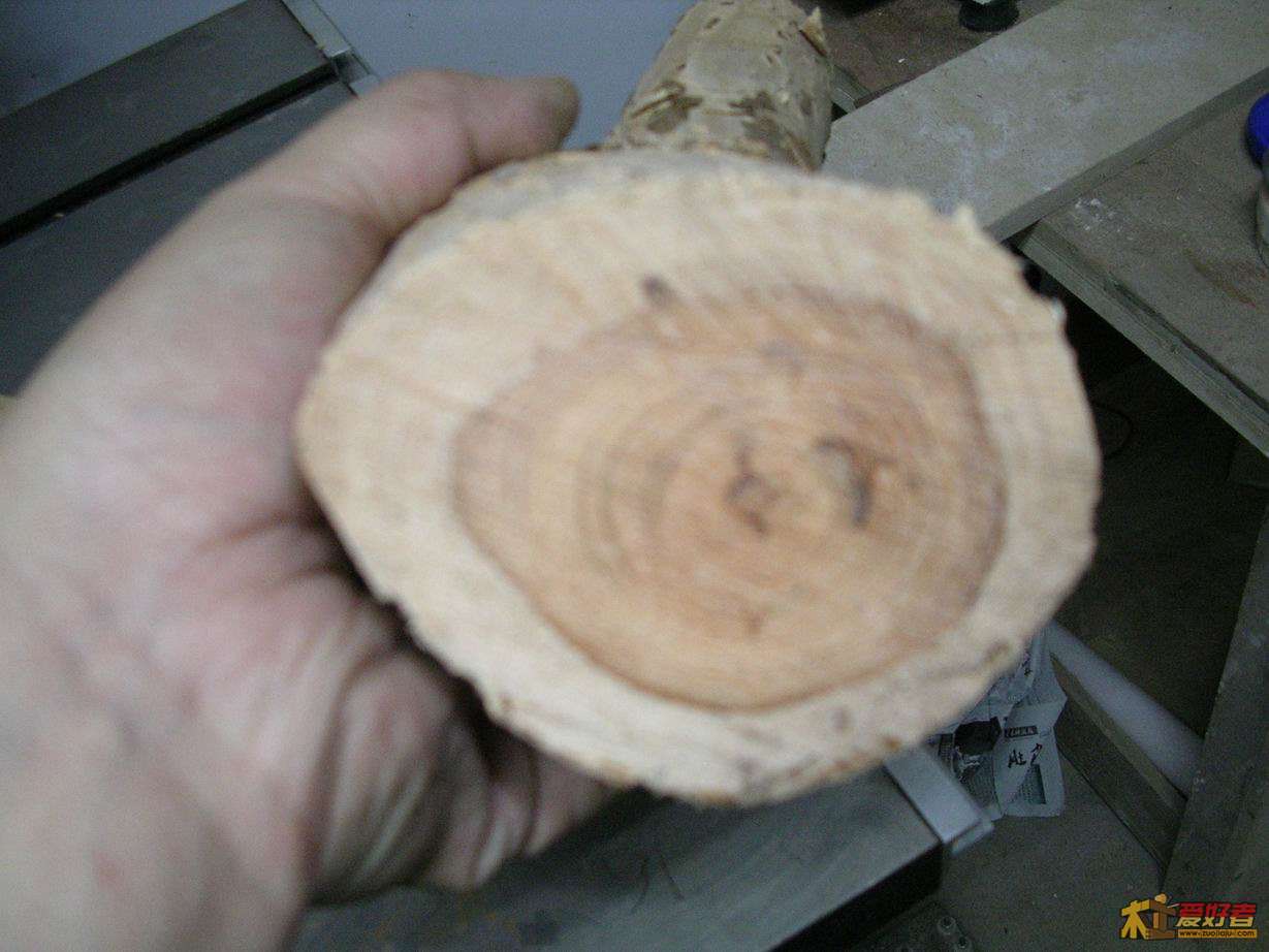 DSCN9987.JPG