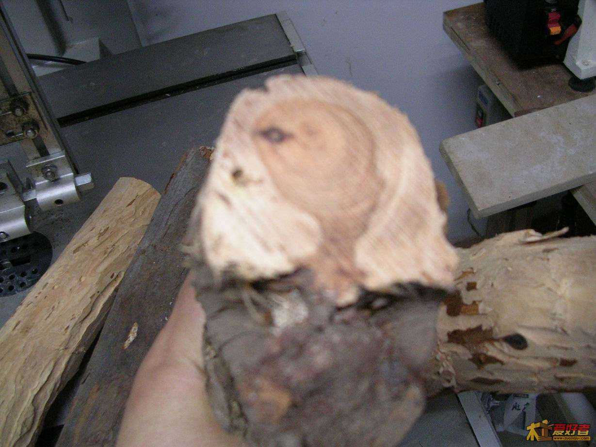 DSCN9989.JPG