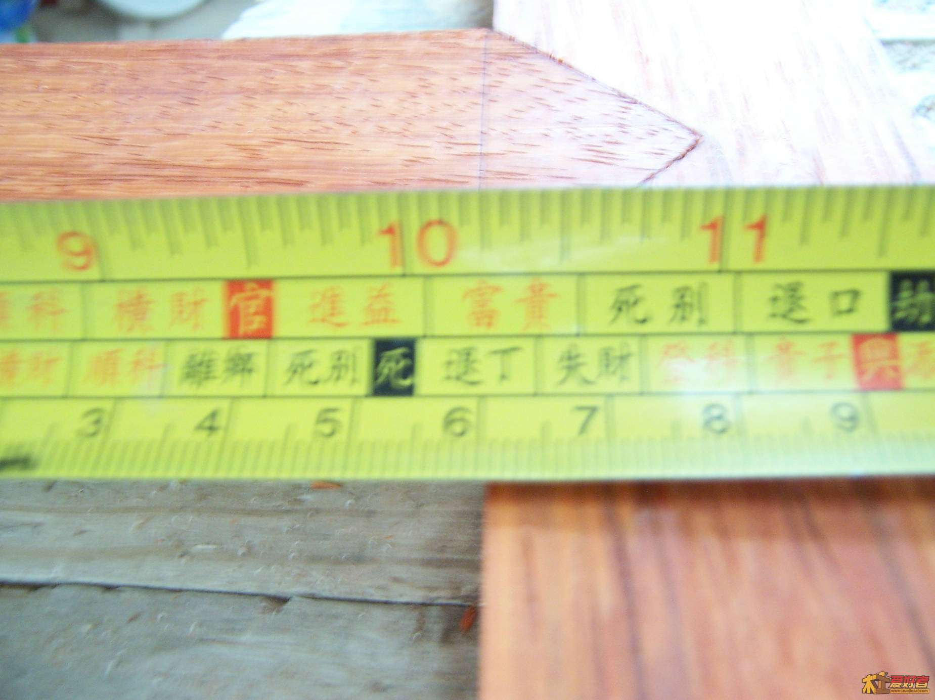 100_5863.JPG