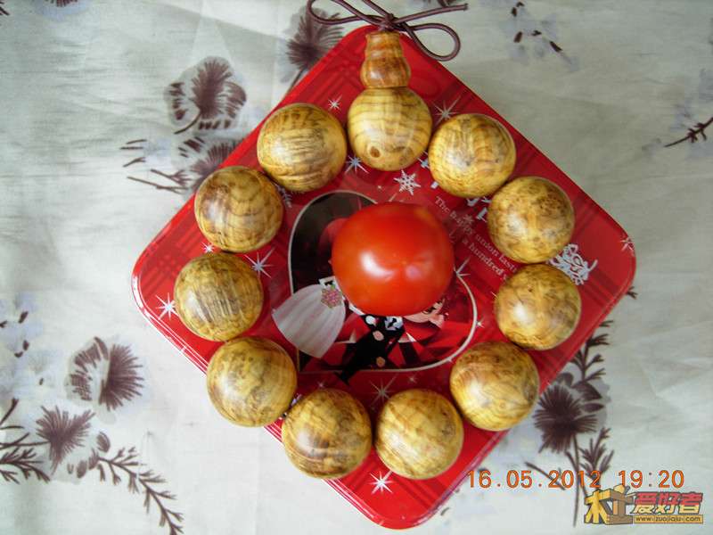 DSCN5868_副本.jpg
