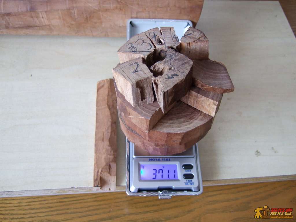 g19.JPG