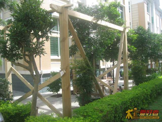 照片 012.jpg
