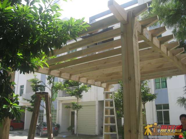 照片 016.jpg