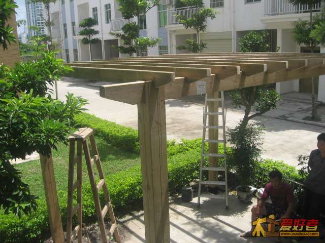 照片 017.jpg