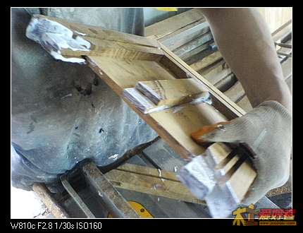 nEO_IMG_DSC00722.jpg