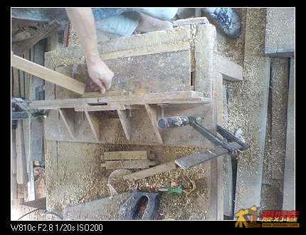 nEO_IMG_DSC00725.jpg