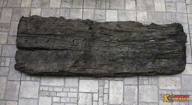 DSCN6756--2.jpg