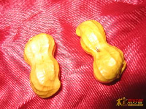 IMG_0037_调整大小.JPG