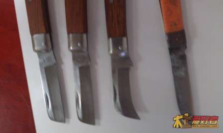 IMAG0510.jpg