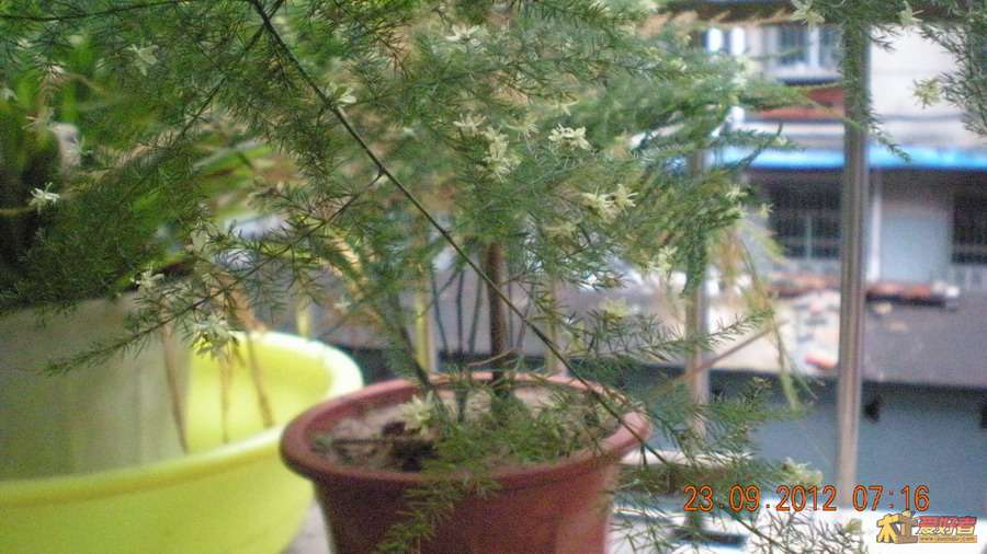 DSCN2861.JPG