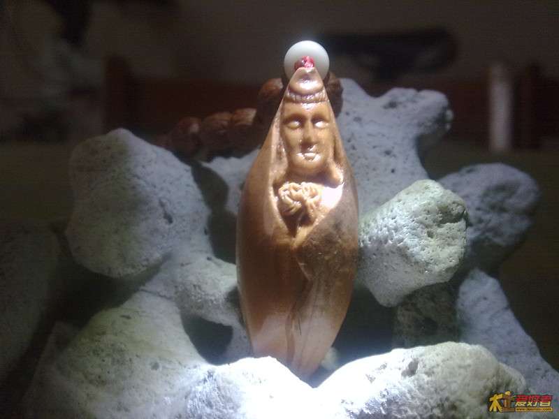 201210051186_副本.jpg
