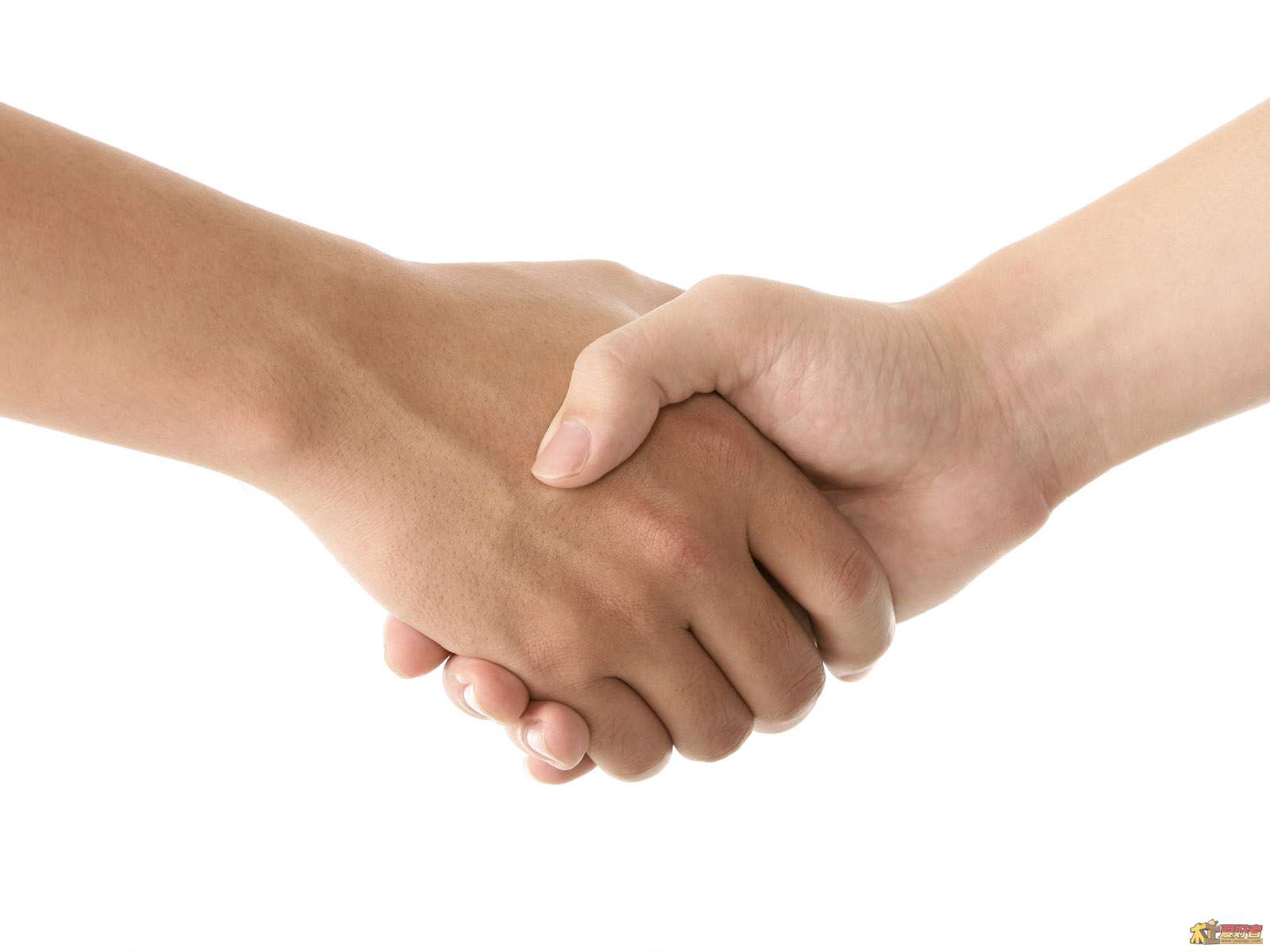 Hand_2004.jpg