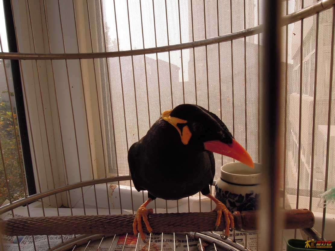 DSCN1608.JPG