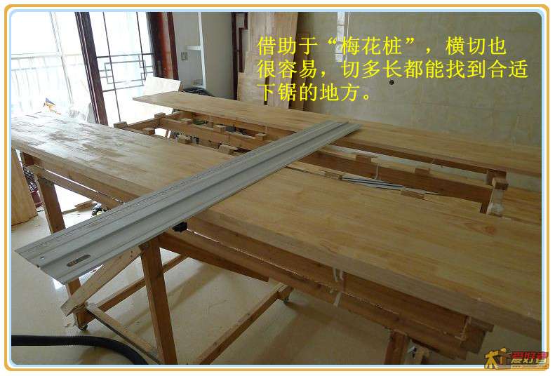 P1040120_副本.jpg
