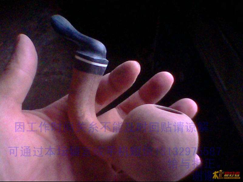 IMG0308A.jpg