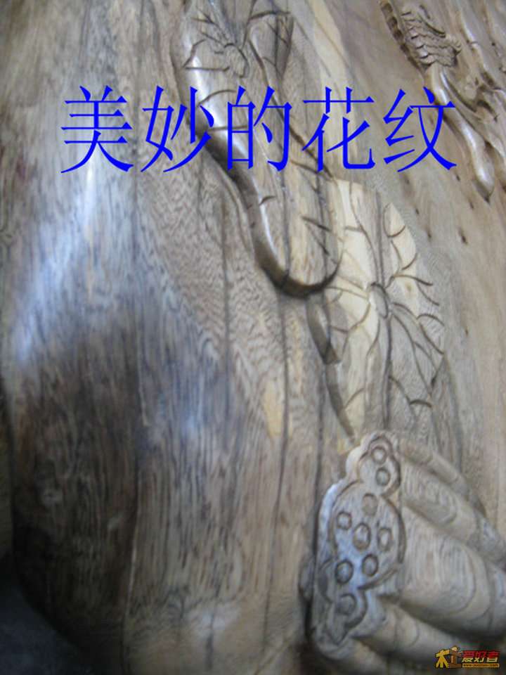 IMG_3632.JPG
