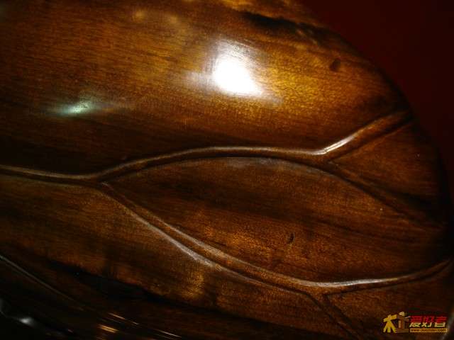 DSC05472.jpg