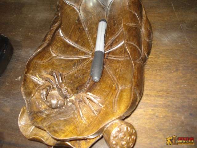 DSC05475.jpg