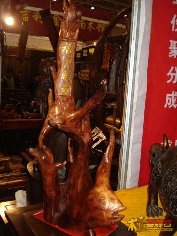 DSC05507.jpg