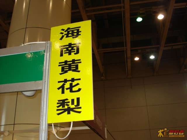DSC05511.jpg