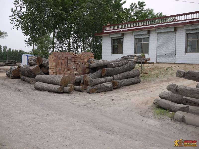 conew_p1040439.jpg