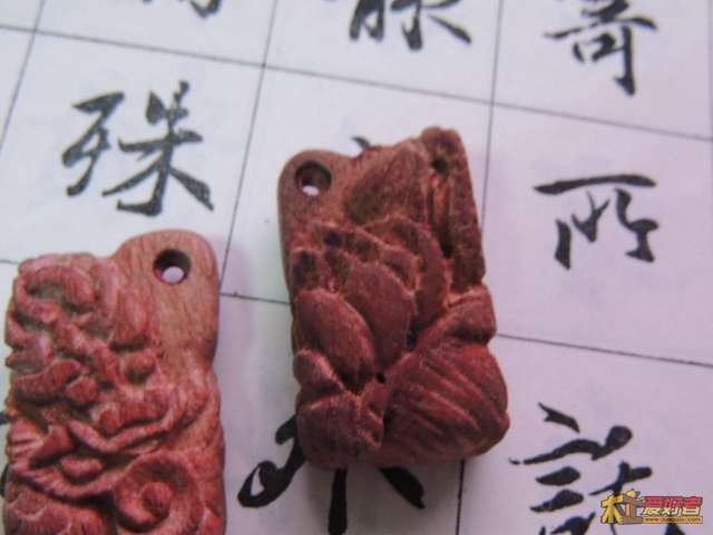 DSCN7619.jpg