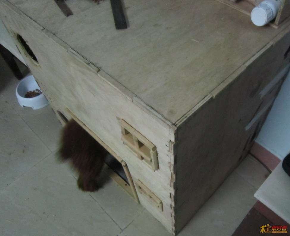 狗窝