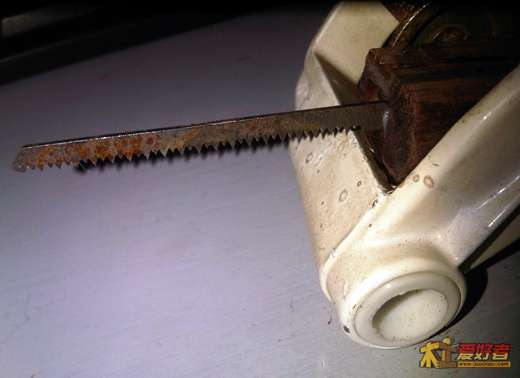 IMG01191-20121125-1045.jpg