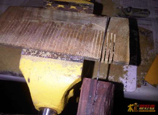 IMG01192-20121125-1058.jpg