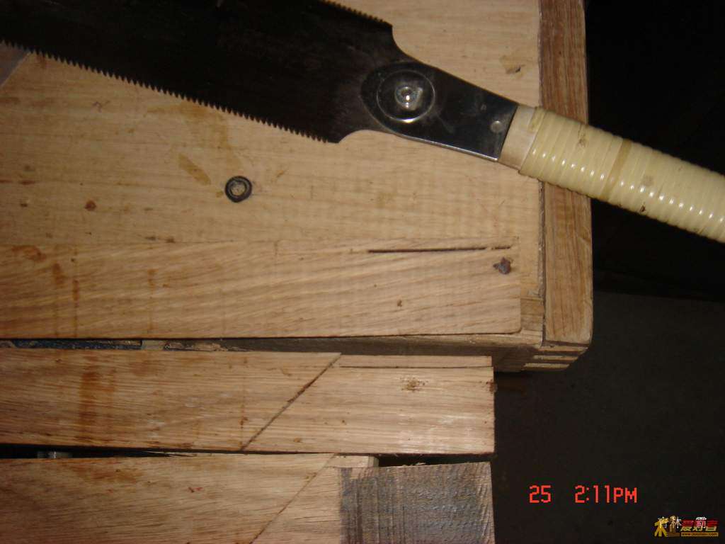 DSC00206.JPG