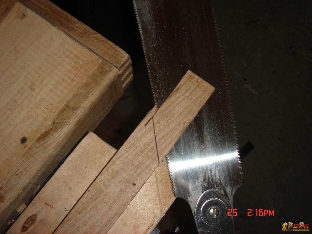 DSC00209.JPG
