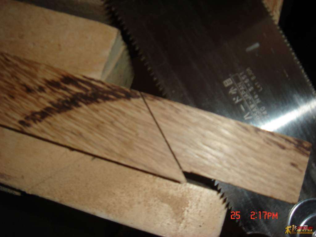 DSC00210.JPG