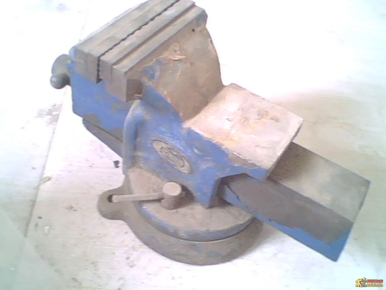 IMG0294A.jpg