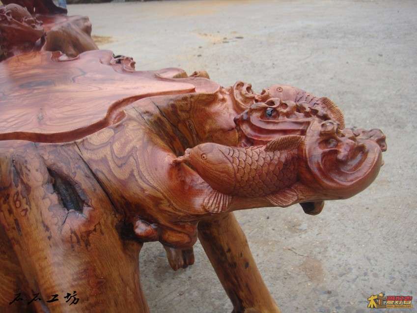 DSC03735_conew2.jpg