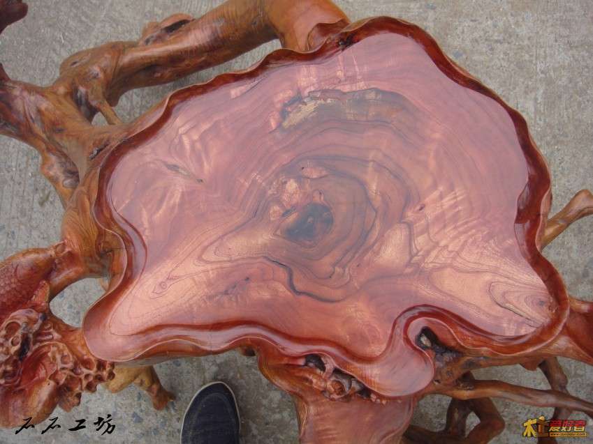 DSC03737_conew2.jpg