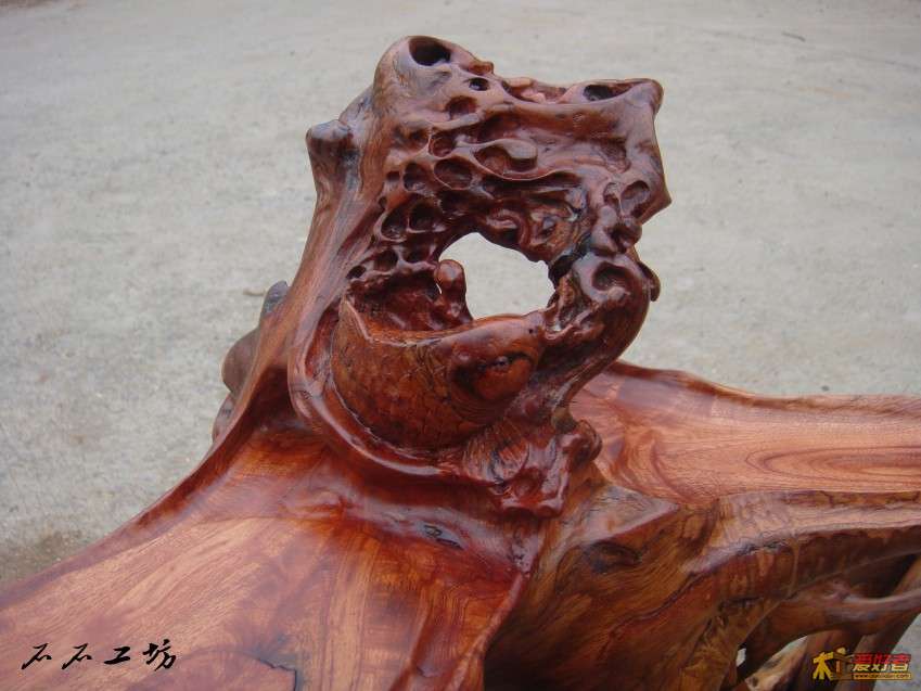 DSC03741_conew1.jpg