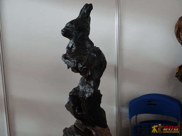 DSC05994.JPG