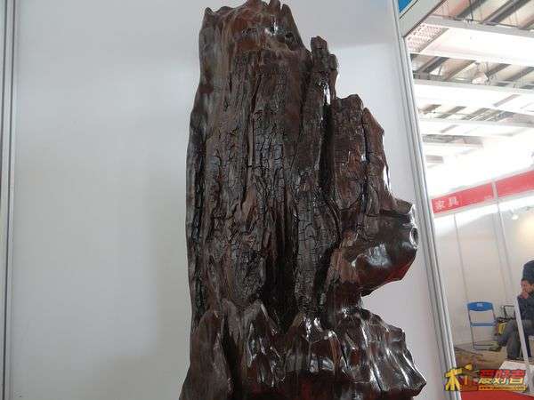 DSC05998.JPG