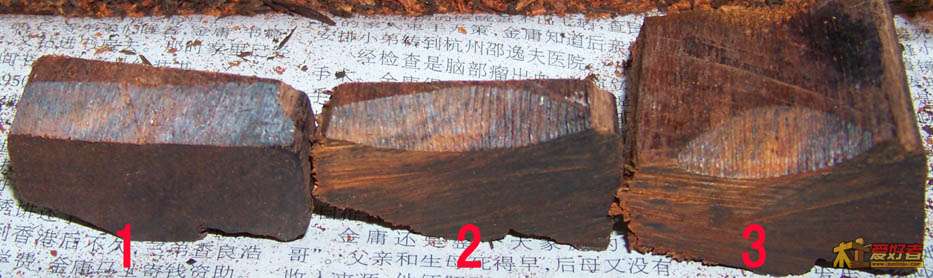 100_3080.JPG