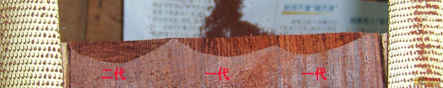 100_3131.JPG