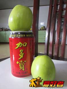 T122.BXeNgXXXXXXXX_!!0-item_pic.jpg_310x310[1].jpg