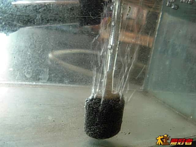 DSCN0065.JPG