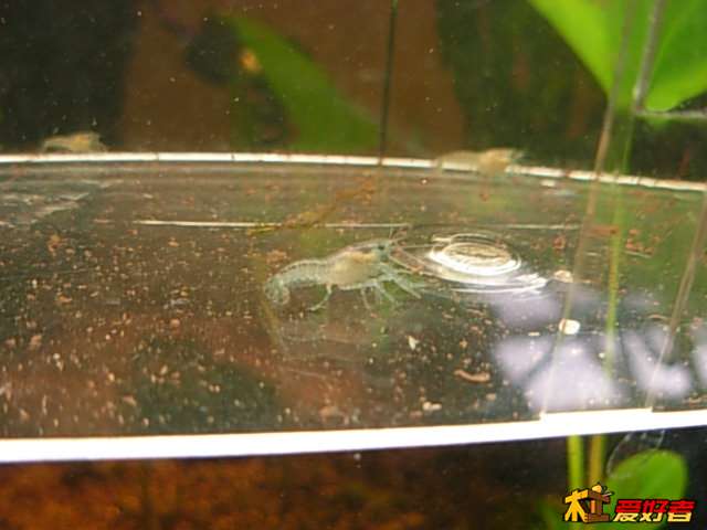 DSCN0068.JPG