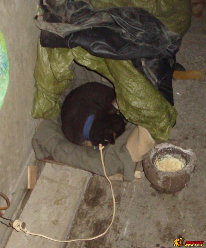 DSC01132.JPG