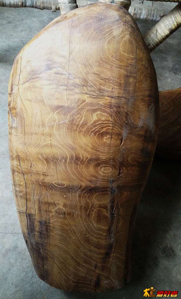桢楠2 (1).jpg
