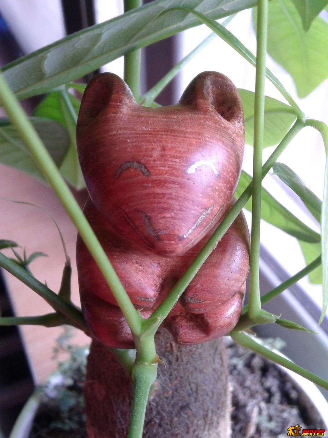 20130212_120534.jpg